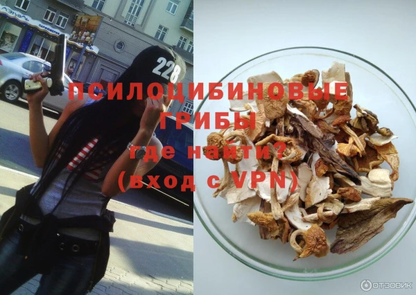 тгк Лагань
