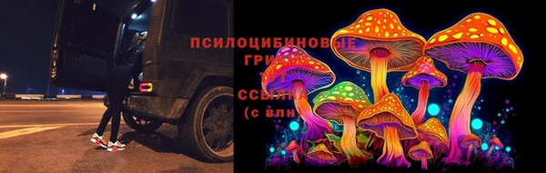 спиды Кукмор